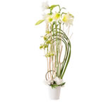 Bouquet élancé fleurs blanches Interflora