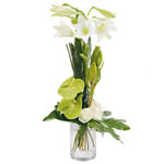 Bouquet élancé vert blanc Interflora