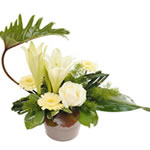 Bouquet de rose avec feuillage : Interflora